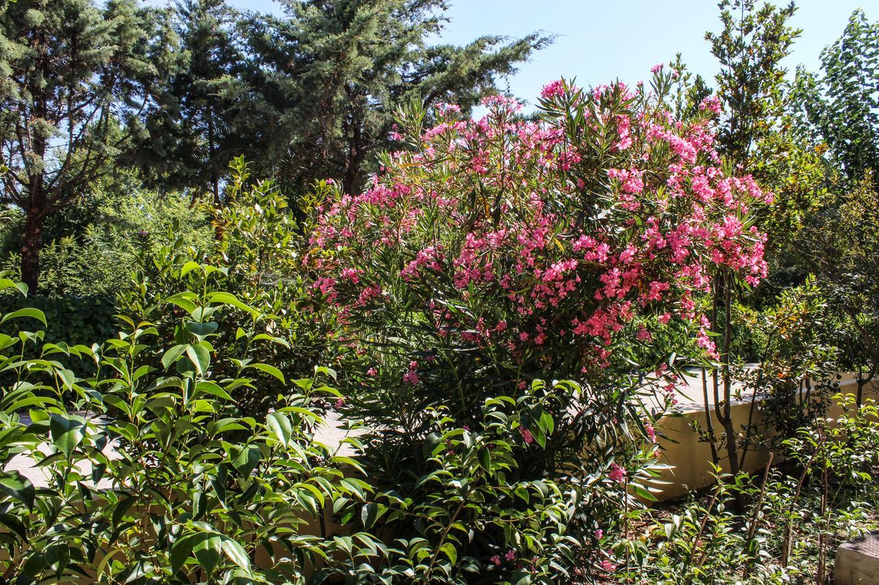 Nireas Resort Corfu Acharavi  Exteriér fotografie